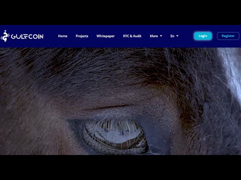 GULFCOIN-Финансовая доступность, решение.